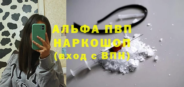 хмурый Арсеньев