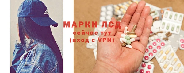 хмурый Арсеньев