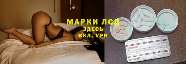 хмурый Арсеньев