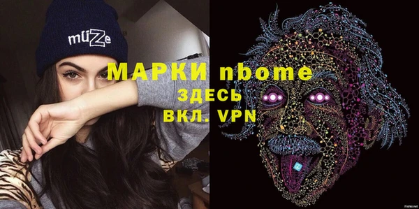 хмурый Арсеньев