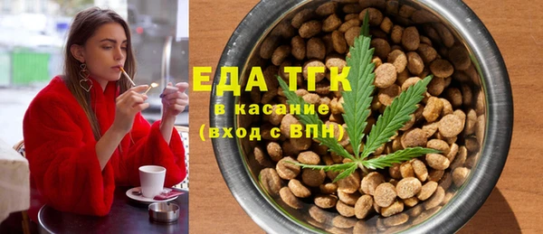 хмурый Арсеньев