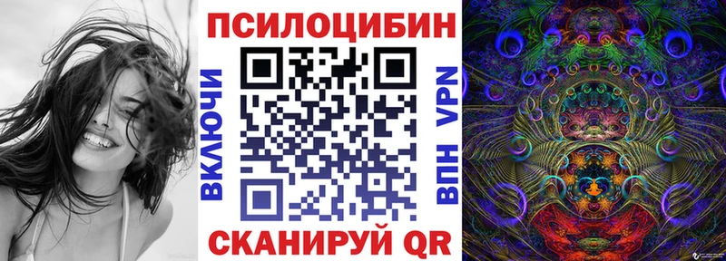 закладки  Заполярный  ОМГ ОМГ зеркало  Галлюциногенные грибы Cubensis 